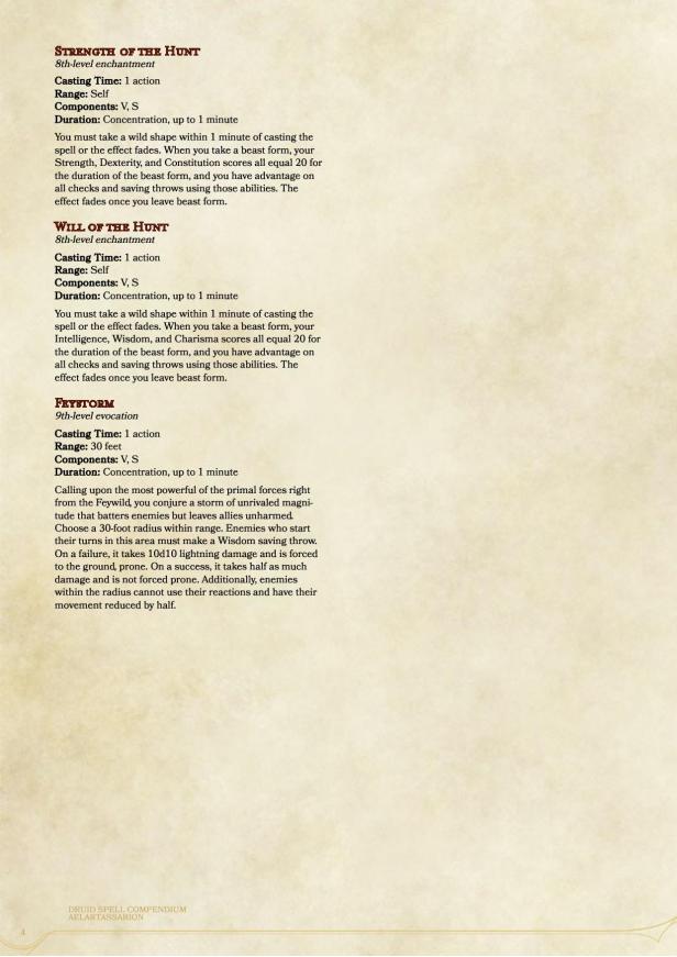 unique-druid-spells-page-004
